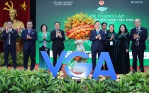 Ra mắt Hiệp hội Chuyển đổi xanh Việt Nam, thúc đẩy doanh nghiệp tham gia kinh tế xanh