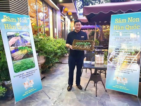 Thưởng thức nhân sâm tươi tại Việt Nam: Hỗ trợ ngăn ngừa bệnh tật, tăng cường sức khỏe