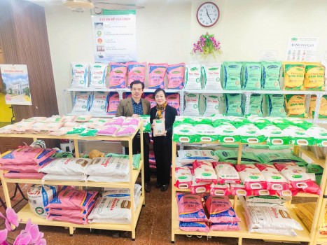 Gạo Nam Bình hành trình khẳng định giá trị gạo sạch Việt