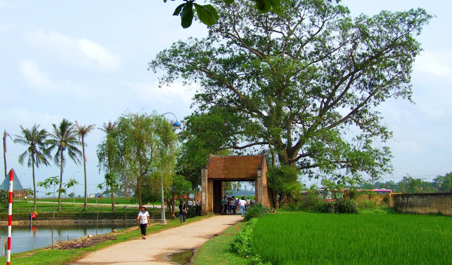 Kiến tạo cảnh quan xanh nông thôn trong hành lang xanh Hà Nội