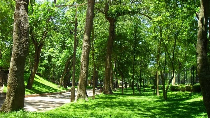 Hành lang xanh phía Tây Hà Nội: định hướng quy hoạch phát triển vùng nông thôn ngoại vi dựa trên bảo tồn