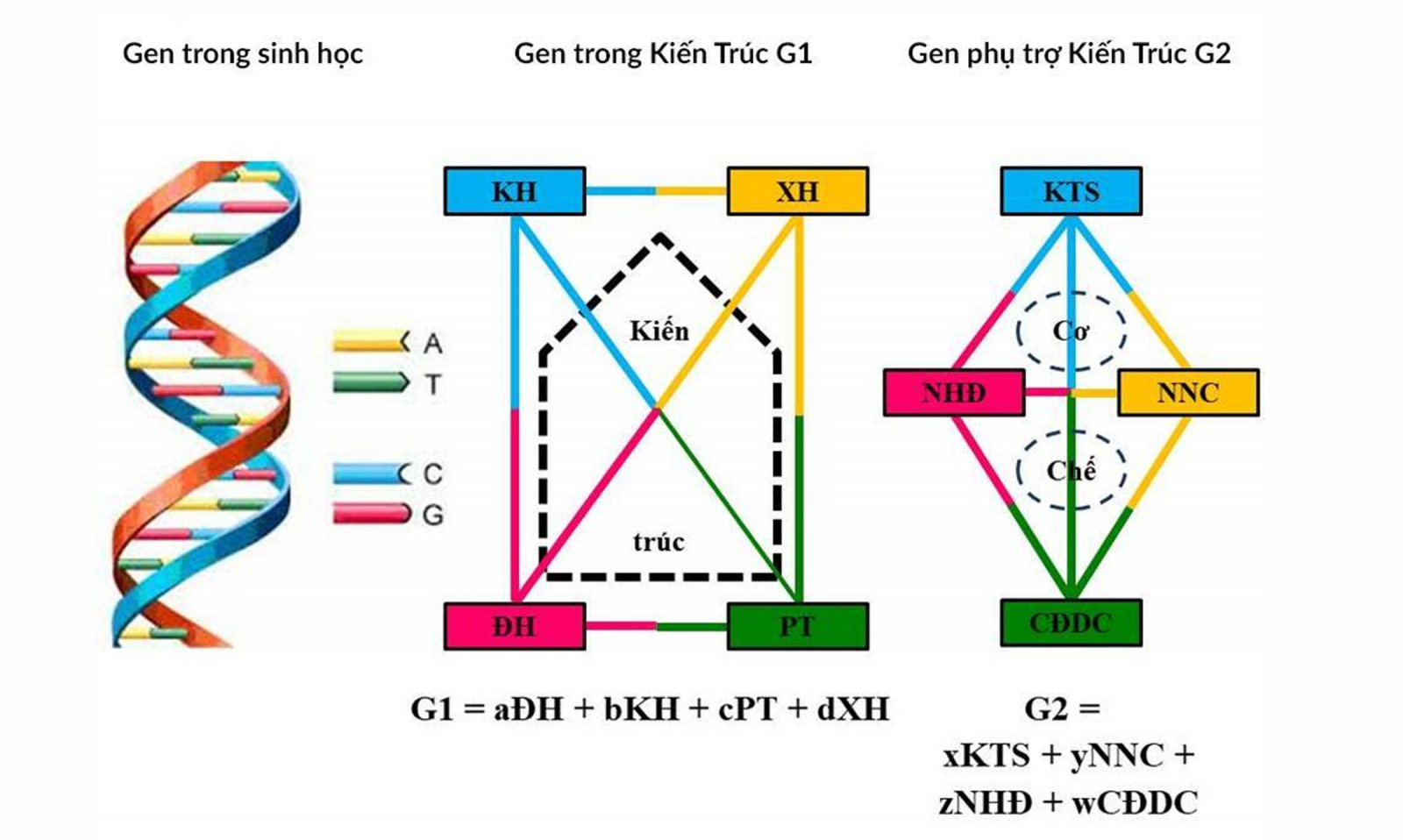  Gen trong sinh học, trong kiến trúc và hỗ trợ để kiến trúc phát triển 