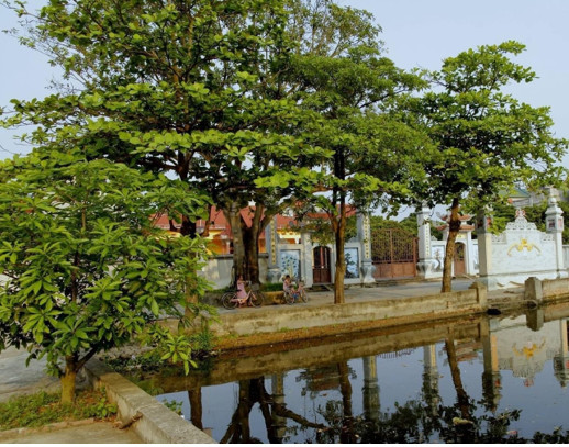 Quản lý hệ thống không gian xanh và một số gợi ý về tổ chức cây xanh công cộng, sân vườn, cây xanh đường phố và mặt nước theo hướng thành phố “xanh - thông minh - hiện đại” đến năm 2030 trên địa bàn thành phố Hà Nội