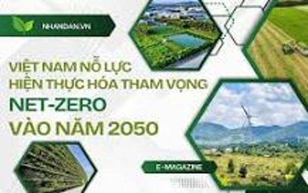 Net Zero 2050: Tham vọng xanh và sức nặng của năng lực thực thi