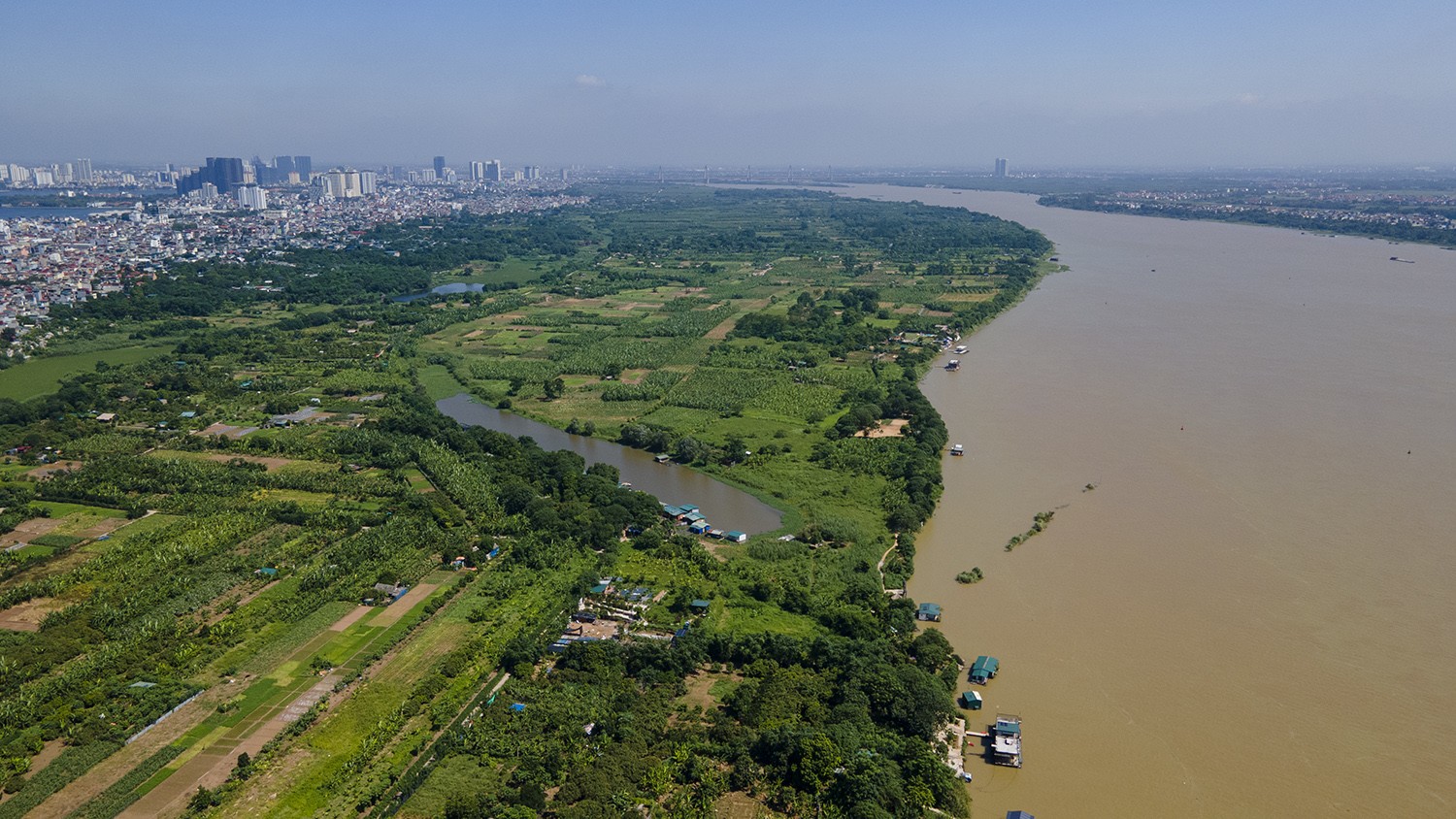 Phim tài liệu: Trong phố có rừng