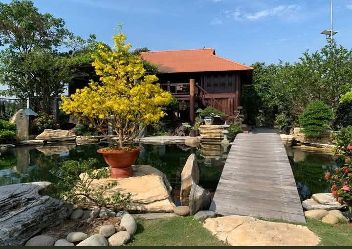 Vai trò của nghệ thuật bonsai trong thiết kế cảnh quan sân vườn đương đại tại Việt Nam