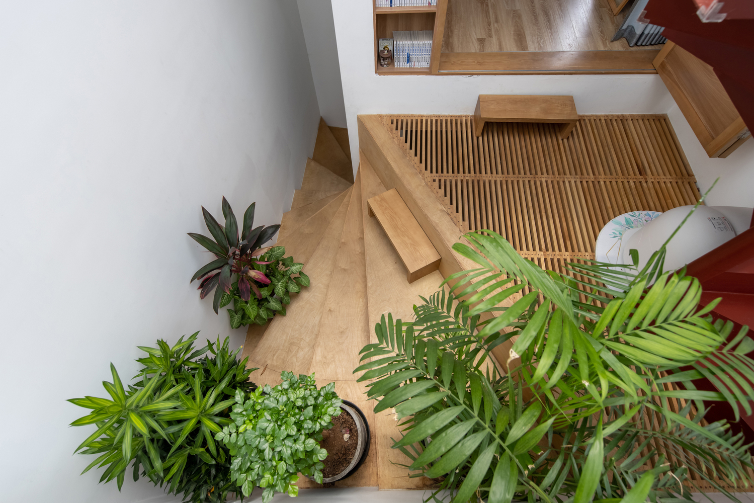 Loli House / t + m design office