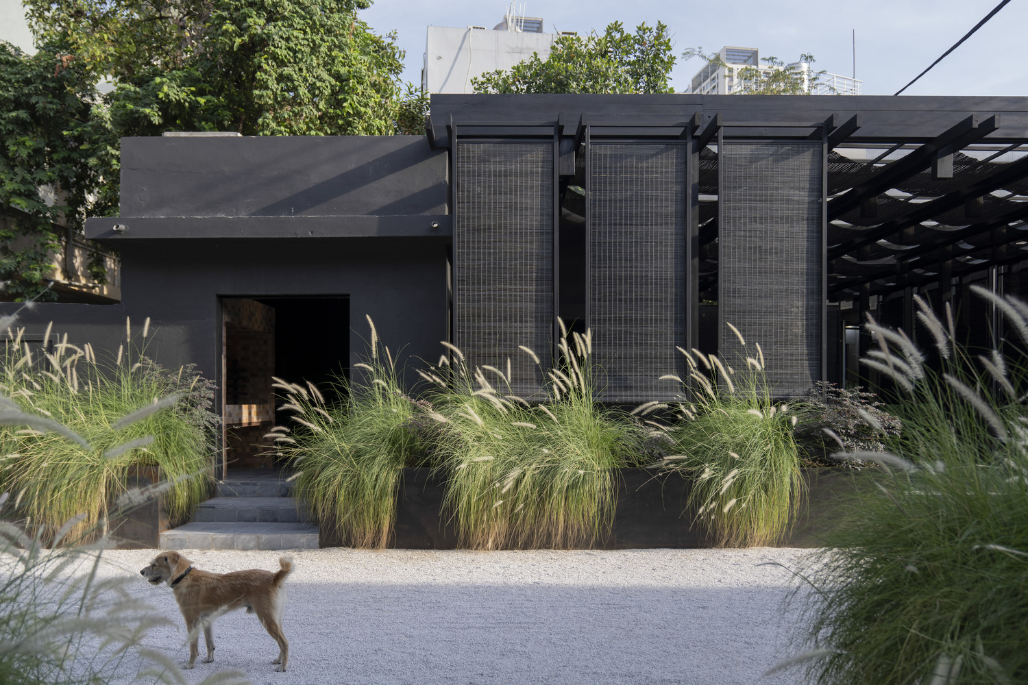 Nhà máy nước đá TDX/NU architecture & design