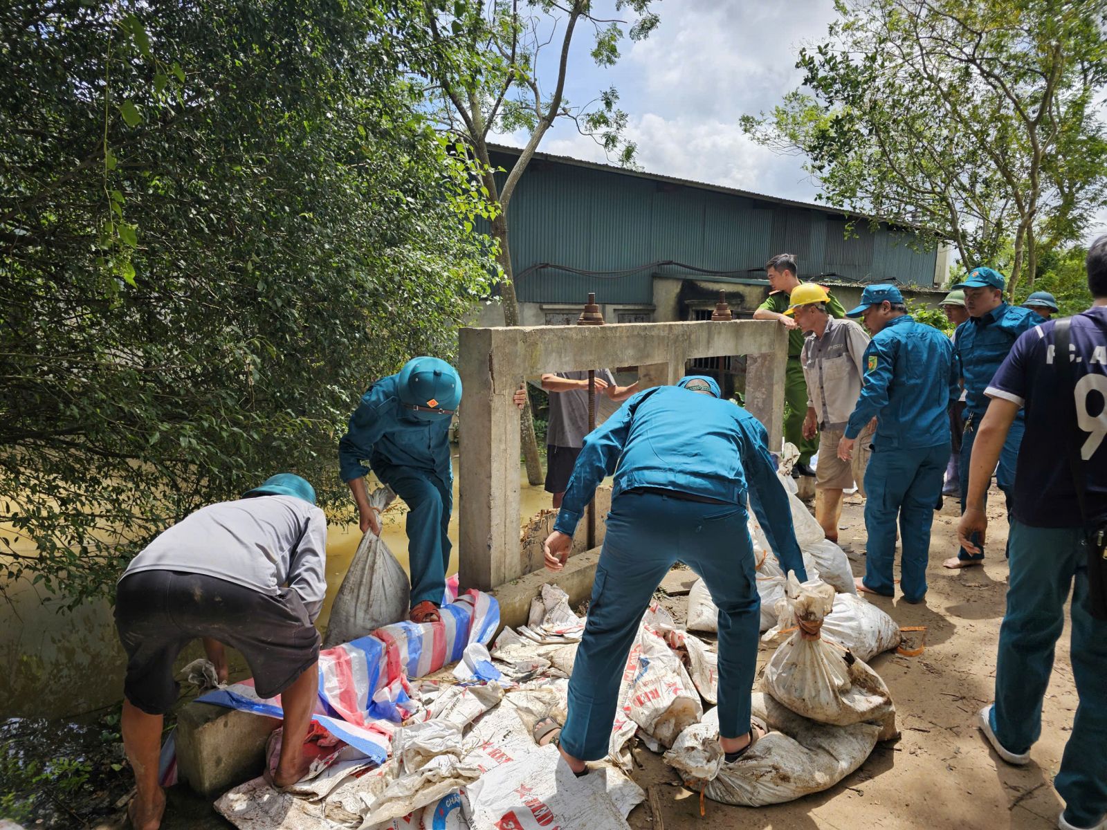 Phường Thiên Trường (tỉnh Ninh Bình) chủ động phòng chống thiên tai, gia cố đê điều bảo vệ an toàn cho người dân sau bão số 10