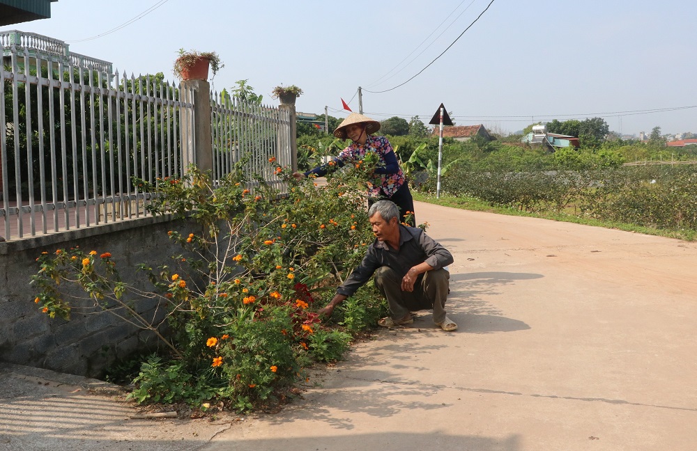 Hạ tầng giao thông nông thôn Bắc Giang: Kết nối thông suốt, mở đường cho đô thị hóa và giao thương