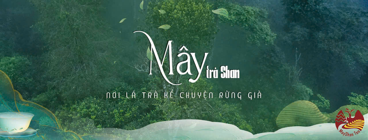 Mây Trà Shan (MayShan Tea): Khi đam mê khởi nguồn thương hiệu