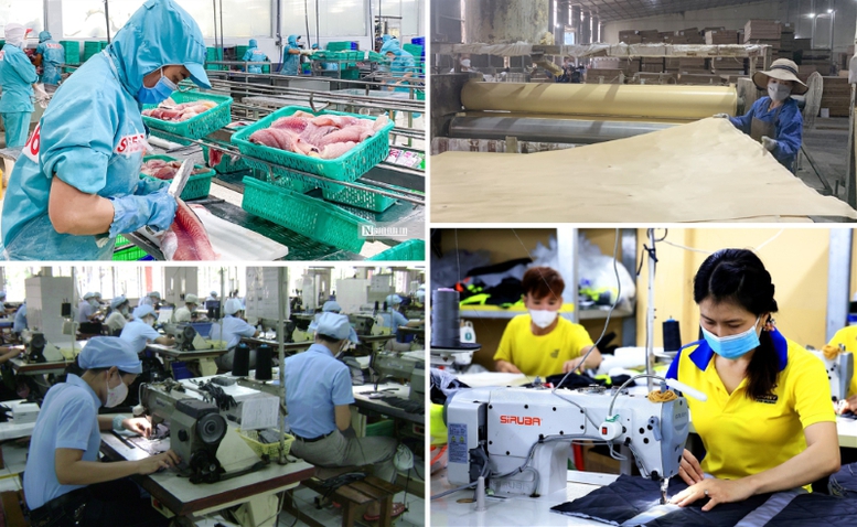 Phát triển kinh tế tư nhân - Đòn bẩy cho một Việt Nam thịnh vượng trong thời kỳ vươn mình của dân tộc