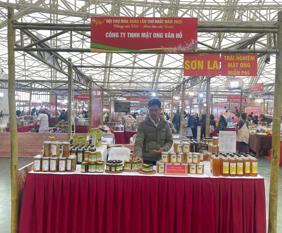 Mật ong Vân Hồ: Kết tinh hương sắc đại ngàn, nâng tầm đặc sản Tây Bắc